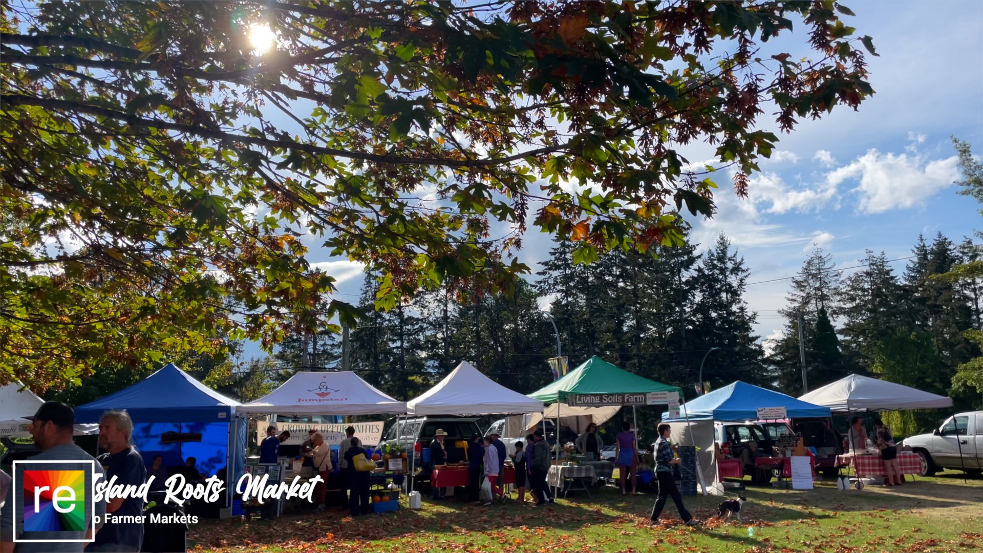 Island Roots Farmers Market on a warm Autumn day