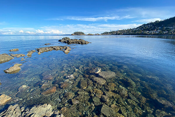 rocky outcrops at Neck Point Park near Hammond Bay Elementary