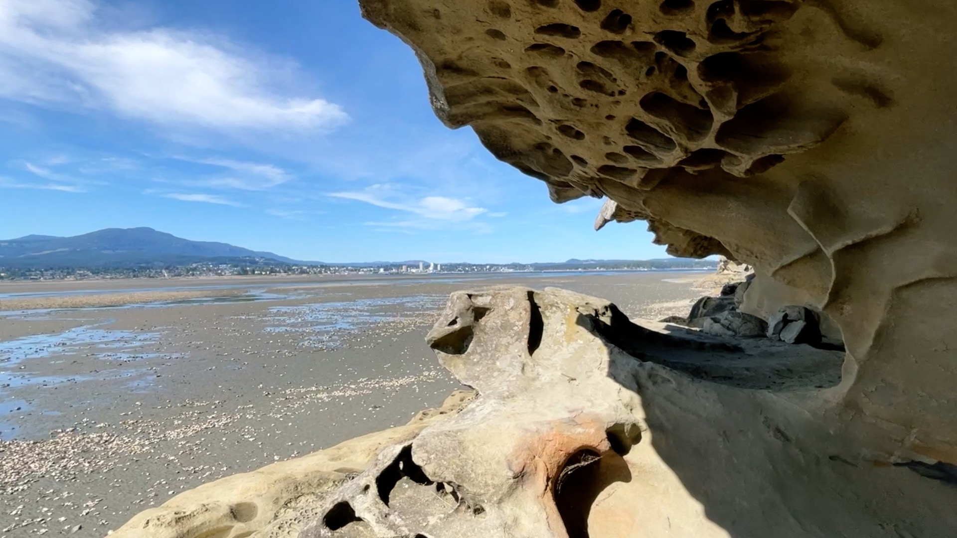 Jack Point Biggs Park petroglyphs, wildlife and the best sunsets