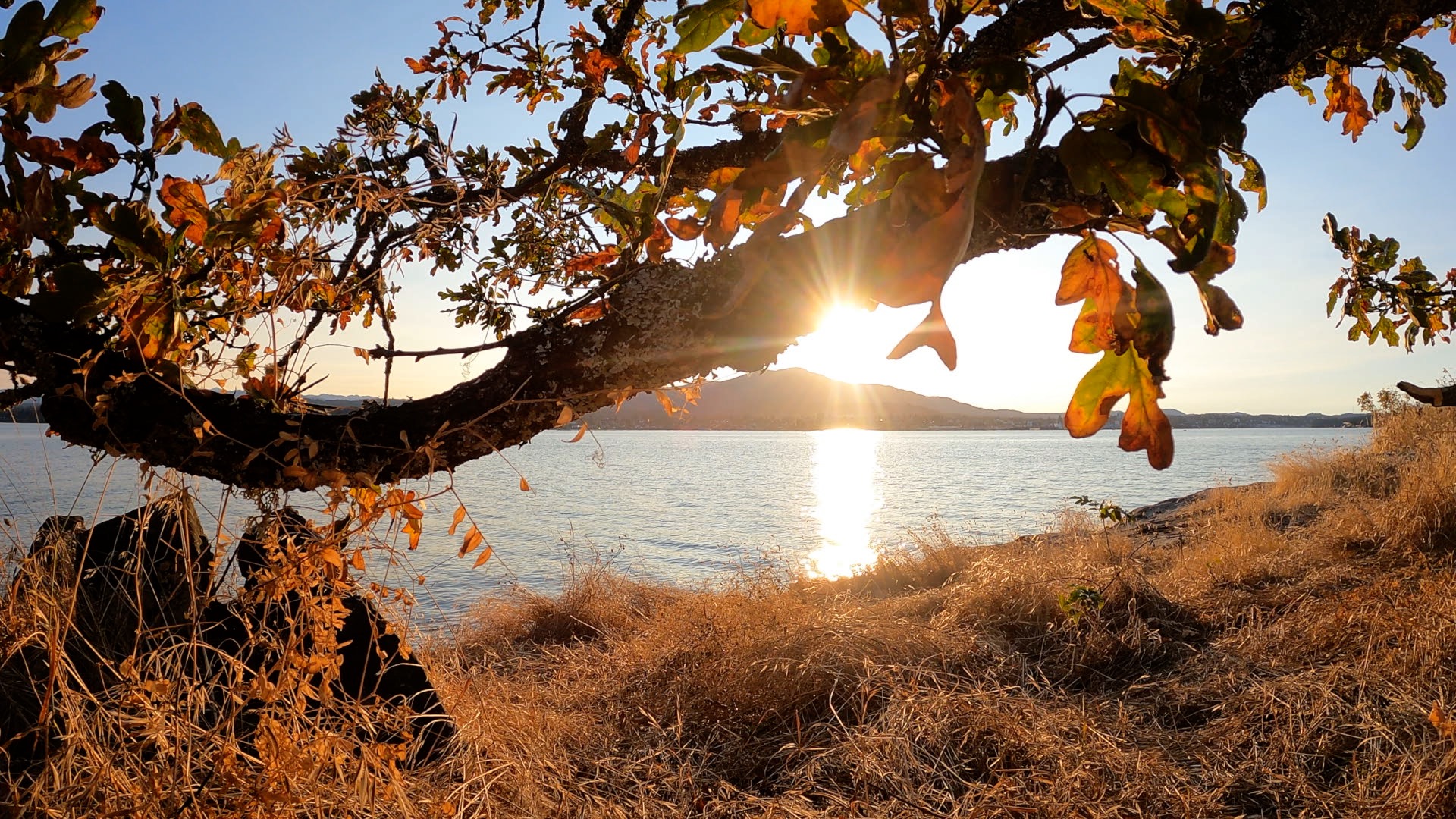 Jack Point Biggs Park petroglyphs, wildlife and the best sunsets