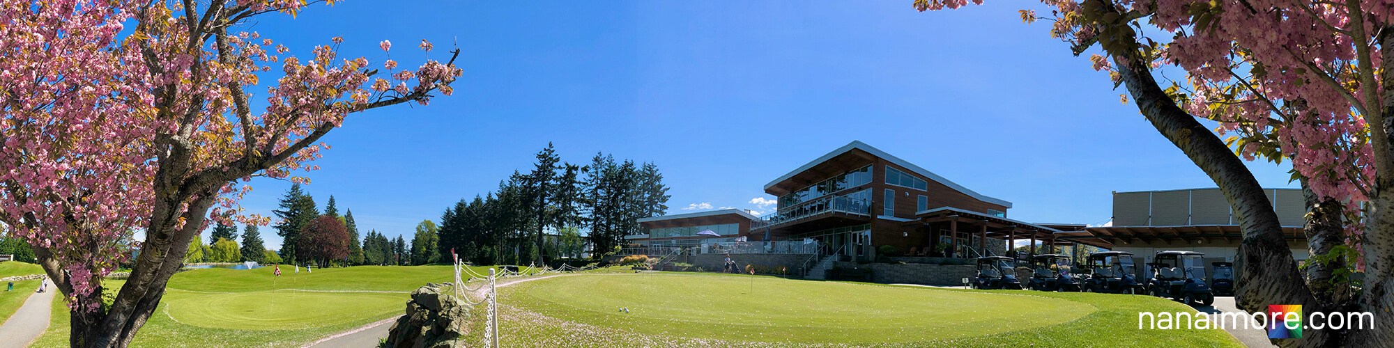 Carry blossom trees at putting greens on Nanaimo Golf Course