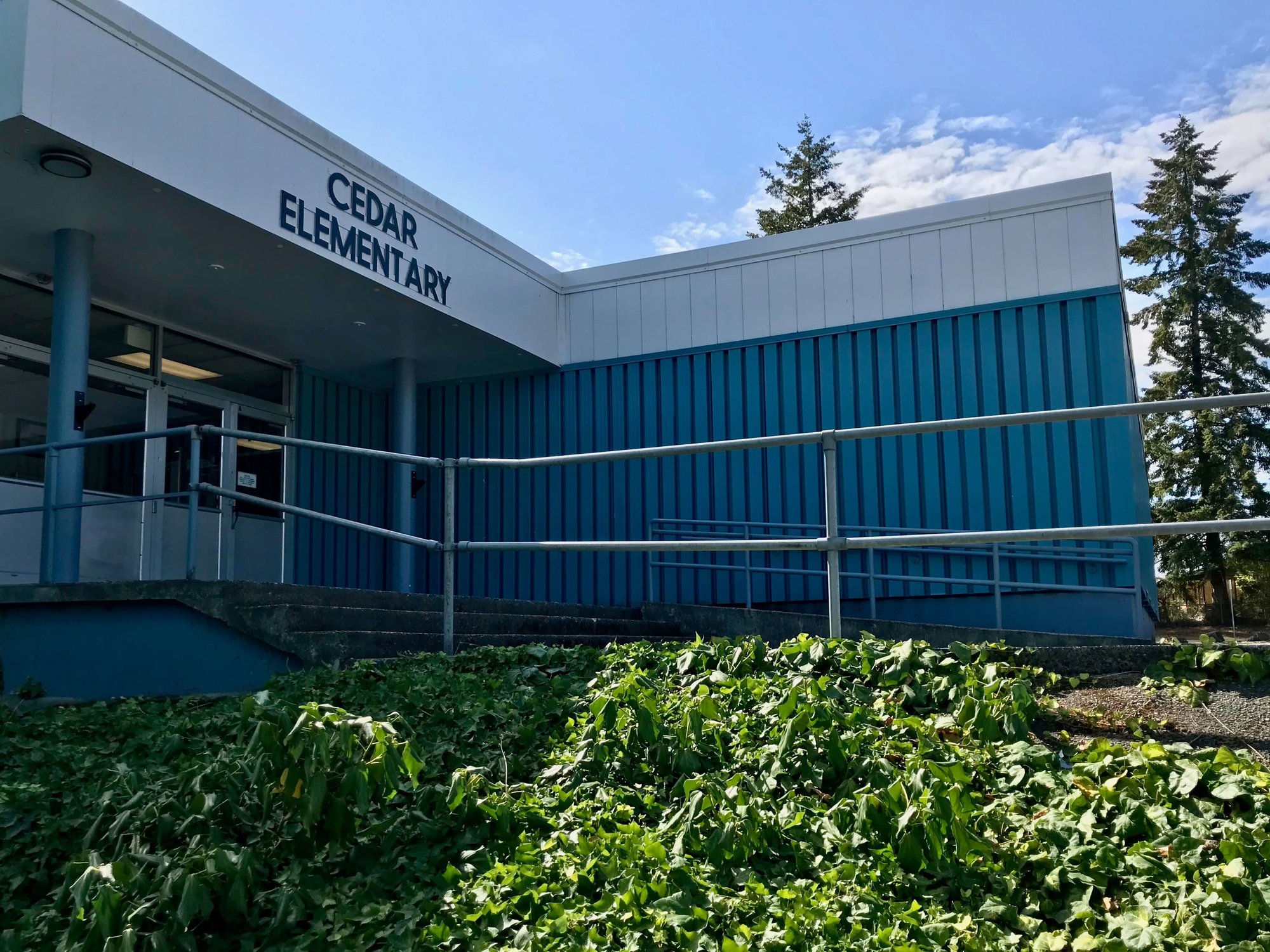 Cedar Real Estate