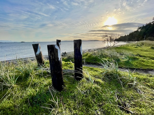 sunny skies at Pipers Lagoon on December 2nd