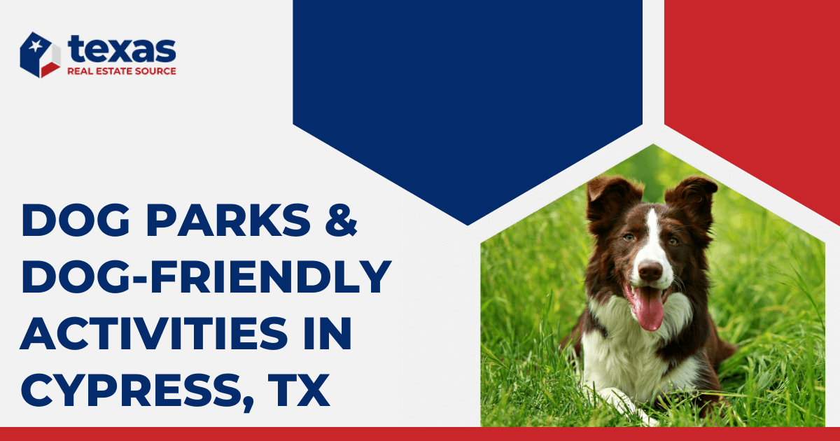 The 14 Best Dog Parks in San Antonio, TX