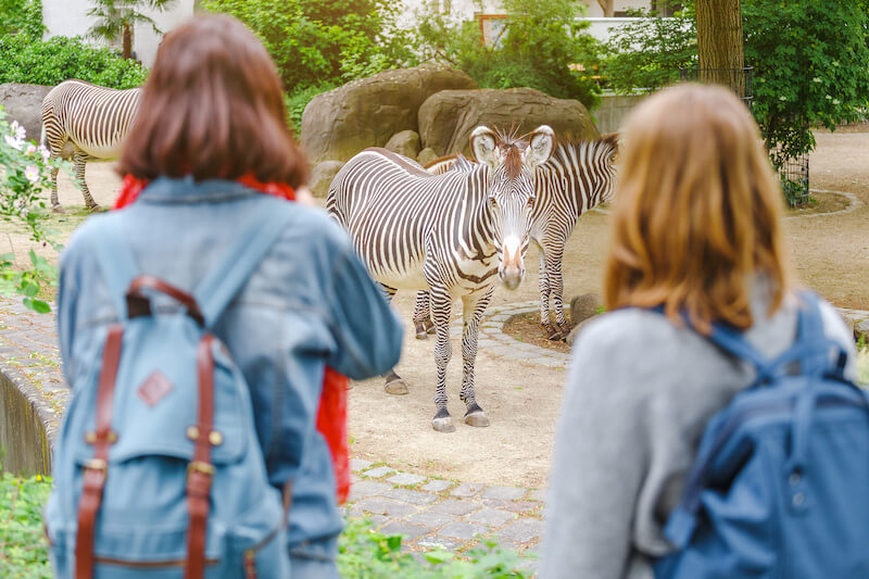 fun field trips in dfw