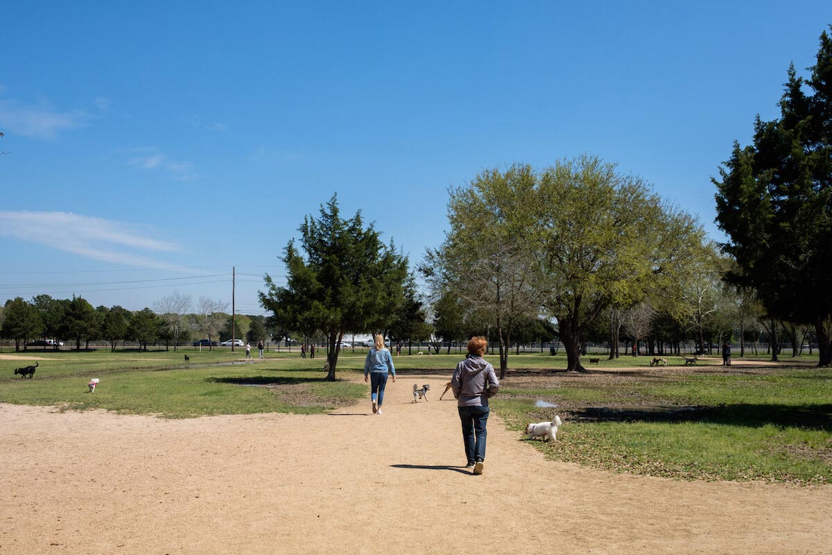 Houston Dog Parks: How Dog-Friendly is Houston, TX?