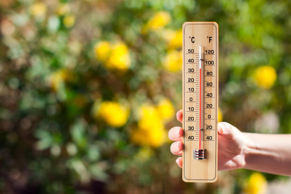 Best Reasons to Retire in Houston: Warm Weather