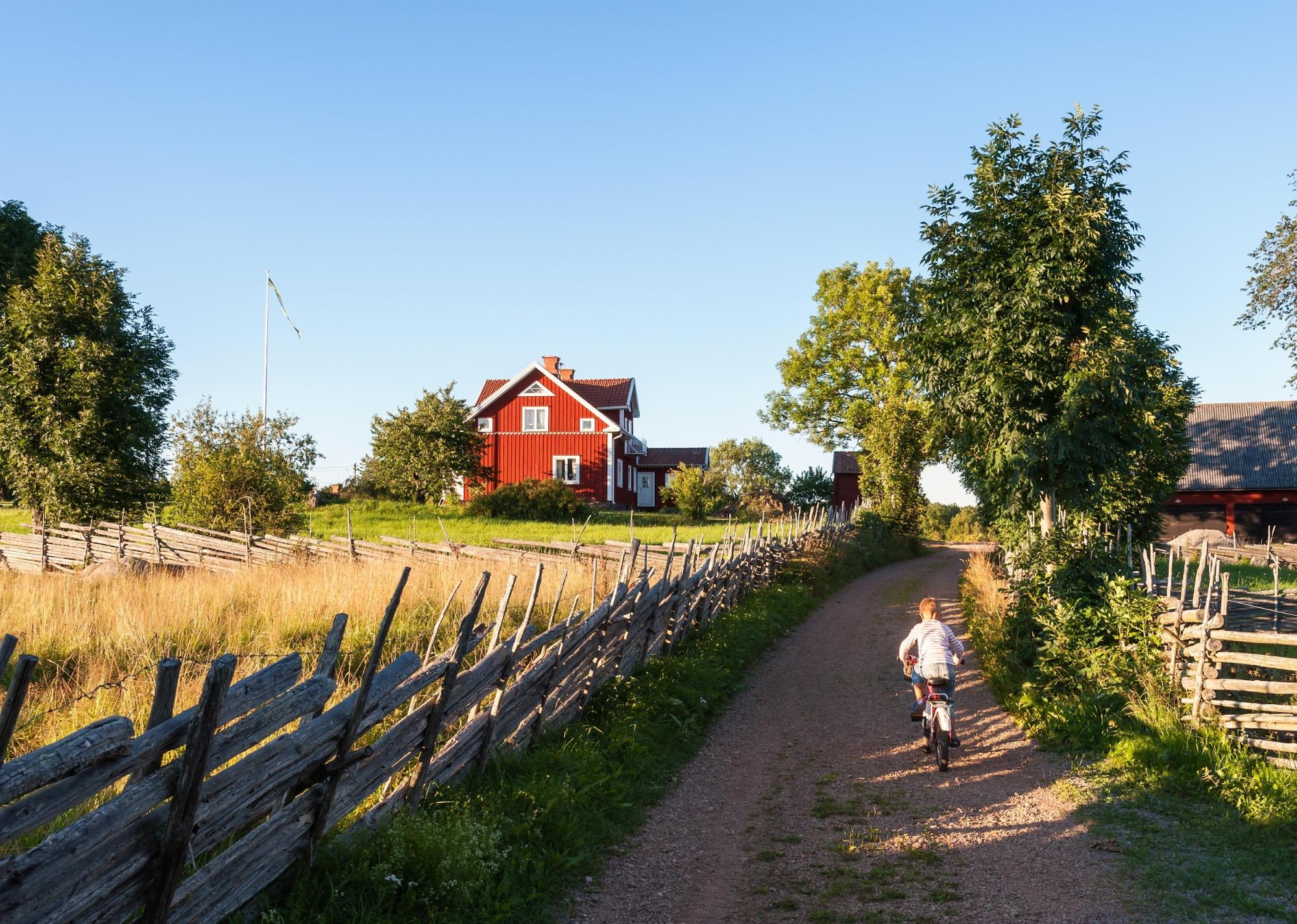 #6. Idaho Child riding a bicycle along a small farm lane.