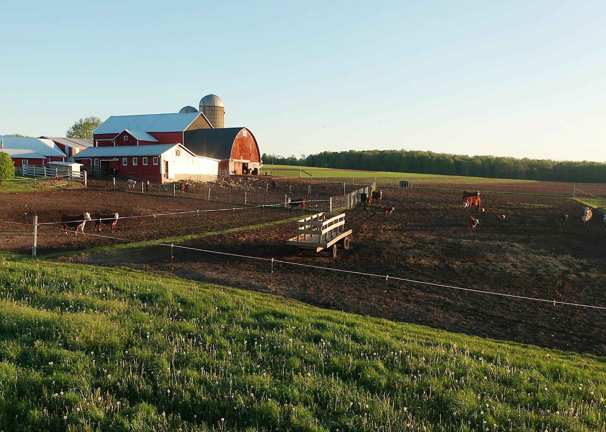 #4. Iowa Aerial view of American countryside landscape.
