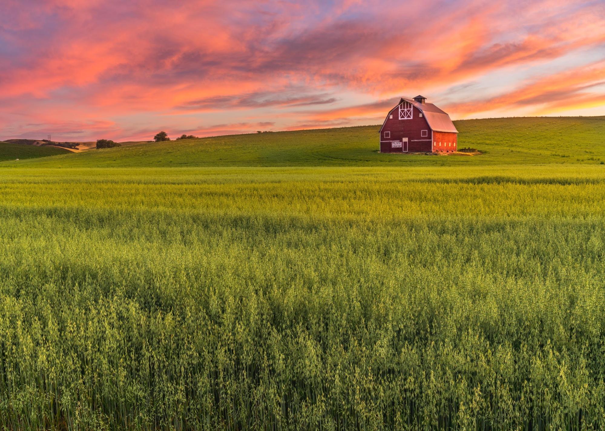#1. Kansas Red barn in a field at sunset.