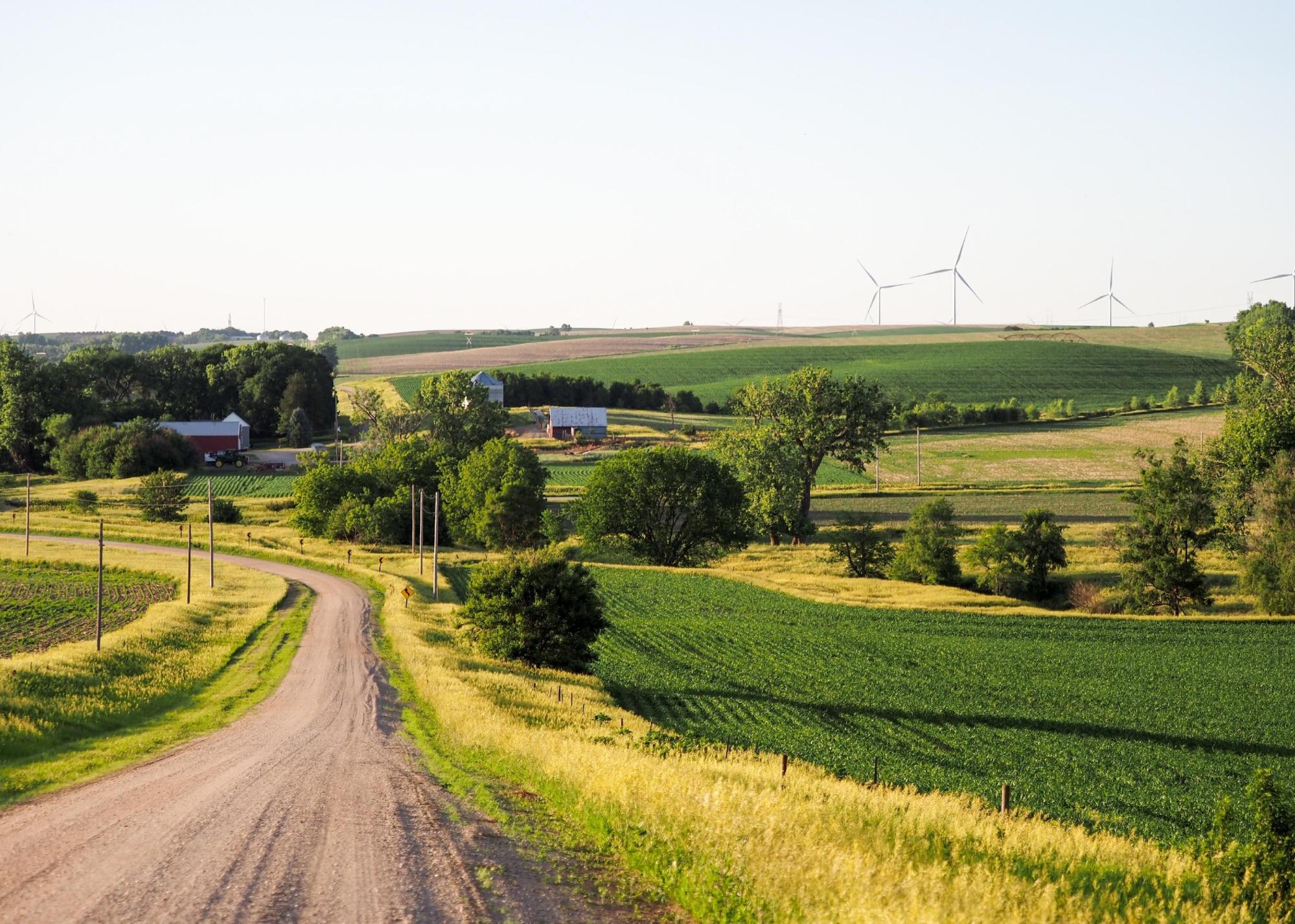 Windmills in distance behind farmland in rural countryside.