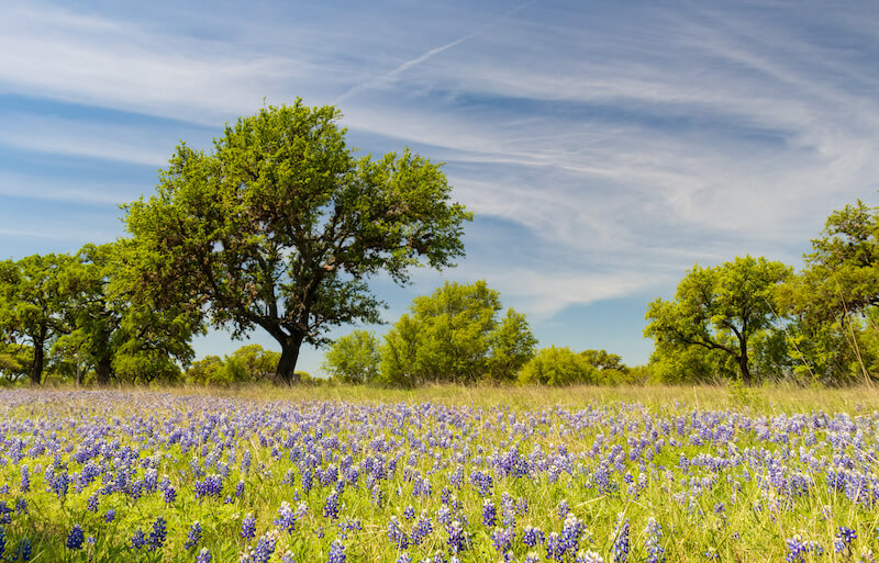 Northlake TX Area Conveniences