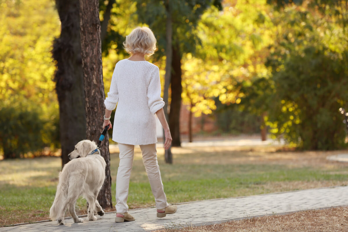 pet-friendly-retirement-villages-how-do-they-work-starts-at-60