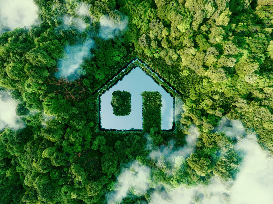 Exploring Sustainable and Eco-Friendly Homes: A Growing Trend in Real Estate