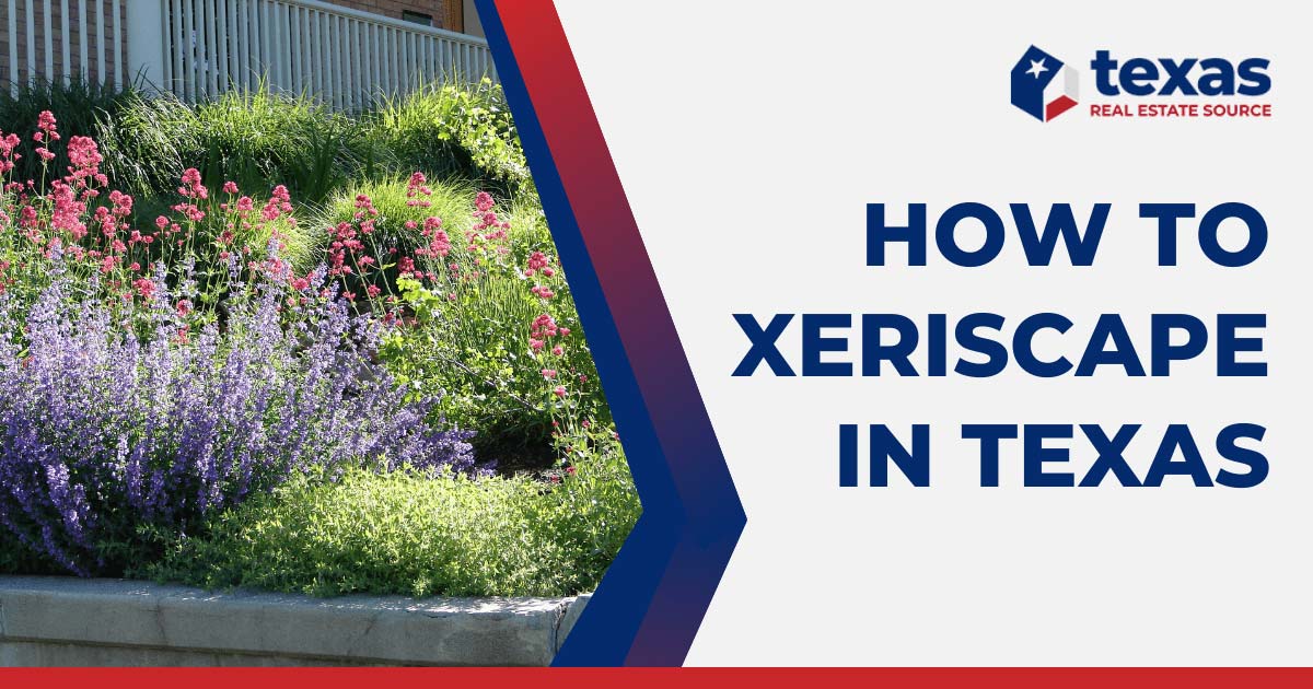Xeriscape Texas: A Guide to Water-Wise Landscaping in 2023