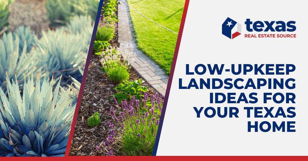 Low-Maintenance Landscaping in Texas