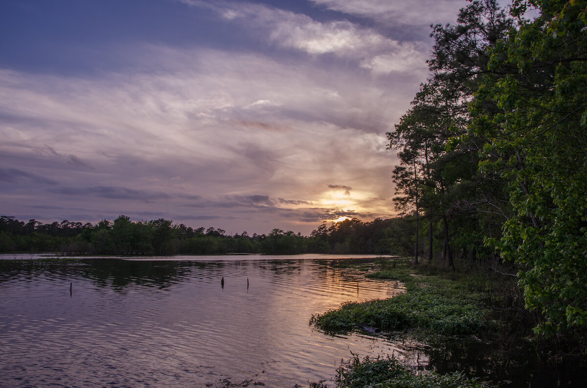 6 Best Parks In Tyler, Tx: Playgrounds, Parks, & Trails