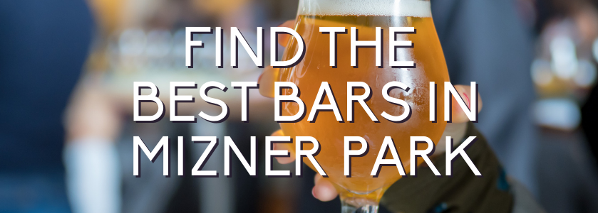 find the best bars in mizner park