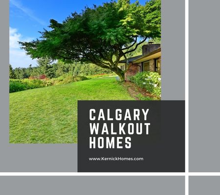 Calgary walkout homes