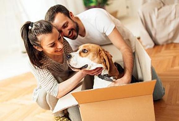 Moving into Your New Home with a Pet 