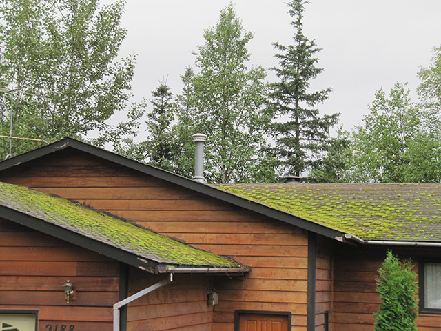 Wasilla Home for Sale with moss on roof