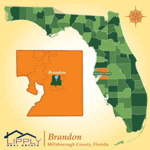 Map Of Florida Brandon Fl