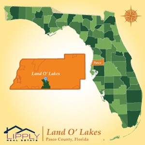 map of land o lakes