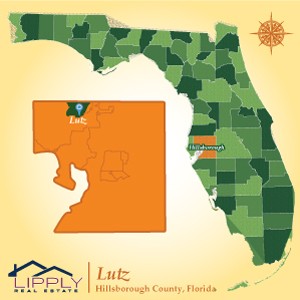 Hillsborough County > Cities & Towns