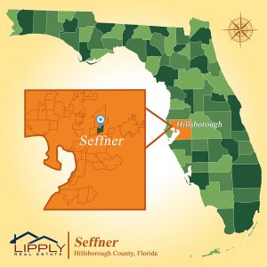 map of seffner
