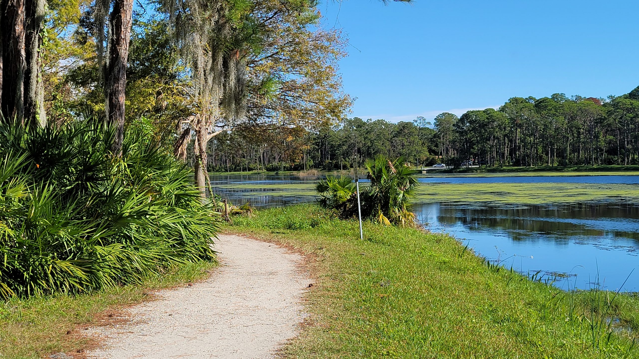 john taylor park