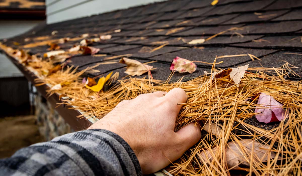 gutters