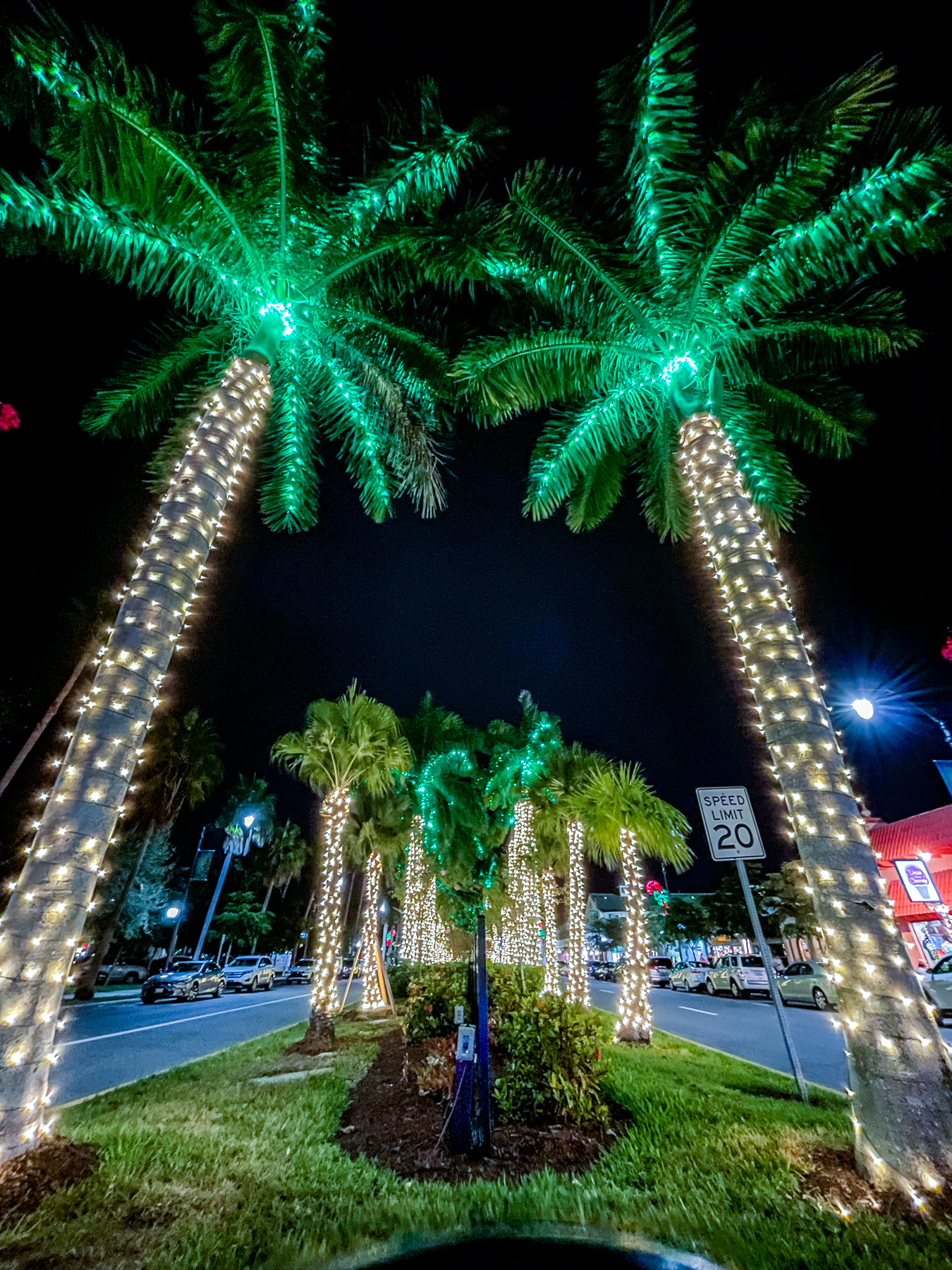Downtown Venice Florida Christmas Lights