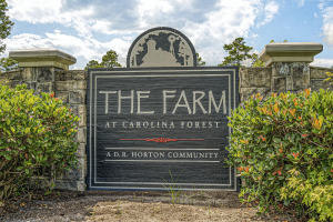 The Farm Entry