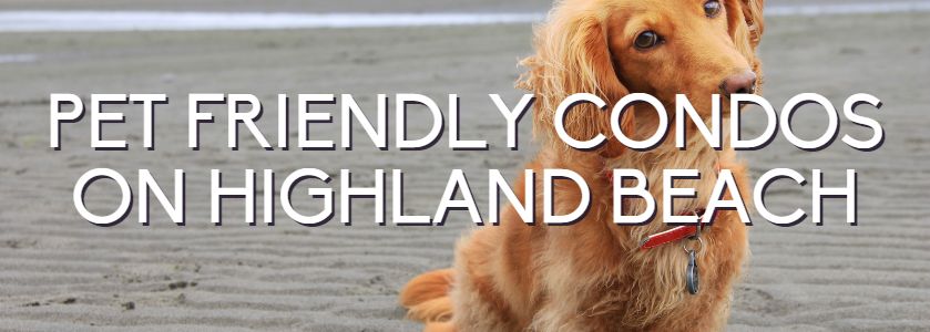 pet friendly highland beach condos