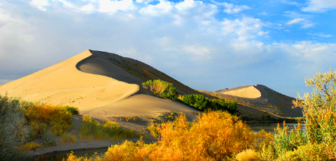 Bruneau State Park