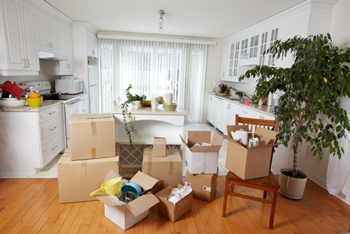 The Transition: What to Expect When Going from an Apartment to a House