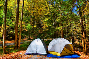 The Best Late Summer Activities for Day and Night