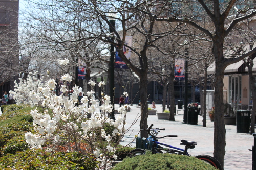 The Parks of Boise’s North End