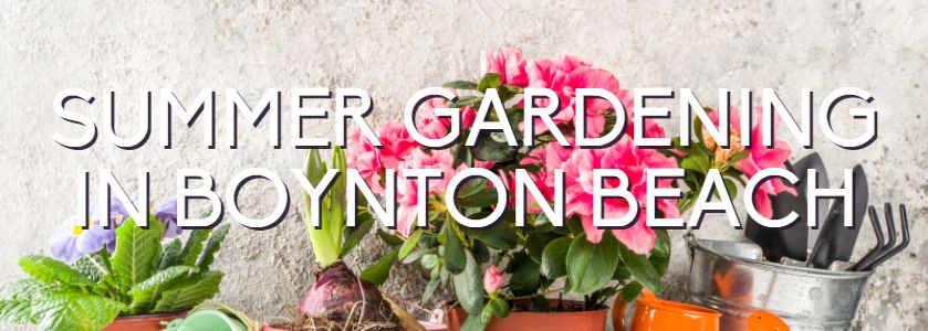boynton beach gardening tips