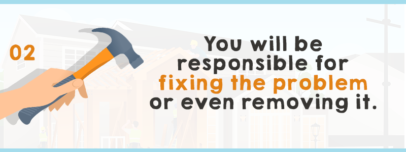 You will be responsible for fixing the problem or even removing it
