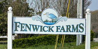 Fenwick Farms Selbyville Delaware
