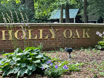 Holly Oak Homes for Sale
