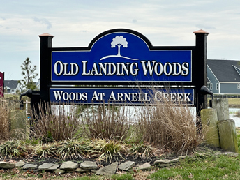 Old Landing Woods Rehoboth Beach Delaware