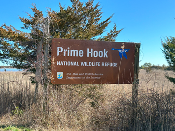 Welcome to Prime Hook Beach Milford Delaware