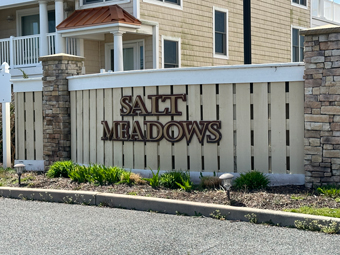 Salt Meadows Fenwick Island Delaware