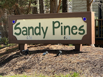 Sandy Pines Bethany Beach Delaware