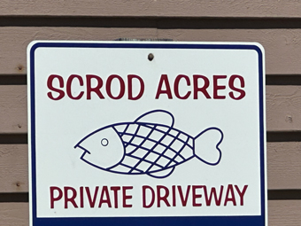 Scrod Acres Dewey Beach DE