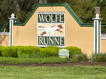 Wolfe Runne Lewes Delaware