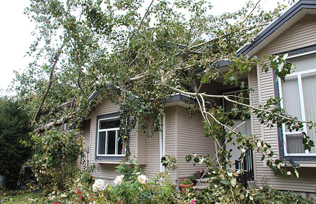 calgary-property-damage