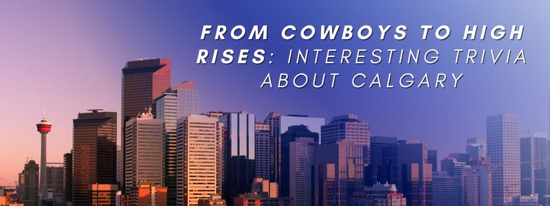 Skyline of buildings in calgary with sunset